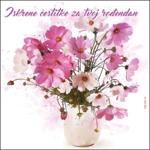 HB 022 K-cena 105 din